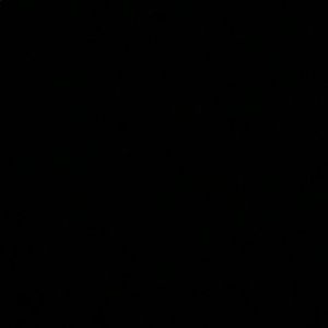 Meet your Posher, Ariana